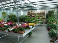 Bloemen Valkenborghs Grafstuk