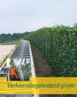 Vergroot foto