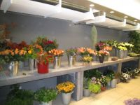 Florist Meyns Thuislevering