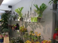 Florist Meyns Thuislevering