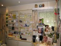 Schoonheidsinstituut Anita Alo� Vera