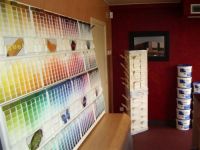 Speedcolor bvba Lakkerij