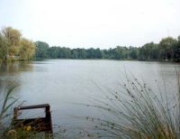 De Kempenvrienden bvba (Campina strand) Wandelen
