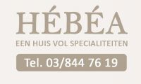 Instituut H&eacute;b&eacute;a Acn�behandeling