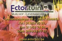 Ector Tuin - Vee Shop Dcm
