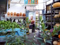 Ector Tuin - Vee Shop Dcm