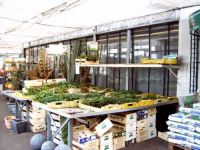 Ector Tuin - Vee Shop Dcm