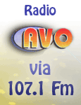 A.V.O. Radio vzw