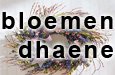 Bloemen D'Haene
