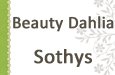 Beauty Dahlia Sothys