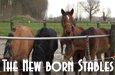 Hippisch Centrum Bartels - HACH