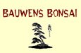 Bauwens Bonsai