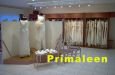 Primaleen