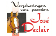 Verzekeringen Jose Decleir bvba
