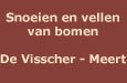 De Visscher - Meert