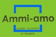 Ammi-amo