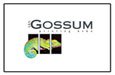 Van Gossum Printing bvba
