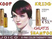Reconstrutive k pak Joico Reconstrutive k pak Joico