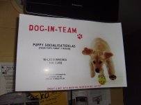 Dog-in-Team Dog-in-Team
