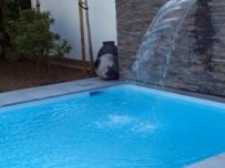 Bouwkundige folie baden