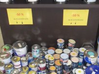 Palletactie levis Palletactie levis