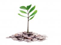 Global Forestry Capital