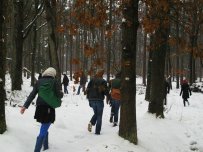 3d. Winterwandelarrangement