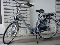 E-BIKe met nexus 8 vites