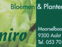 Boeket Van de week 
