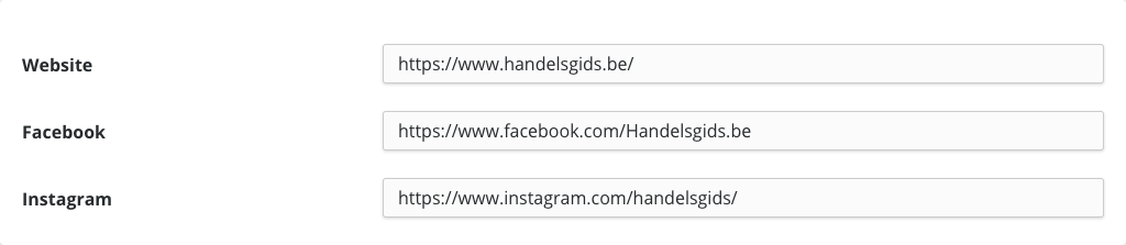 De velden Website, Facebook en Instagram, elk ingevuld met een volledig adres dat begint met https://