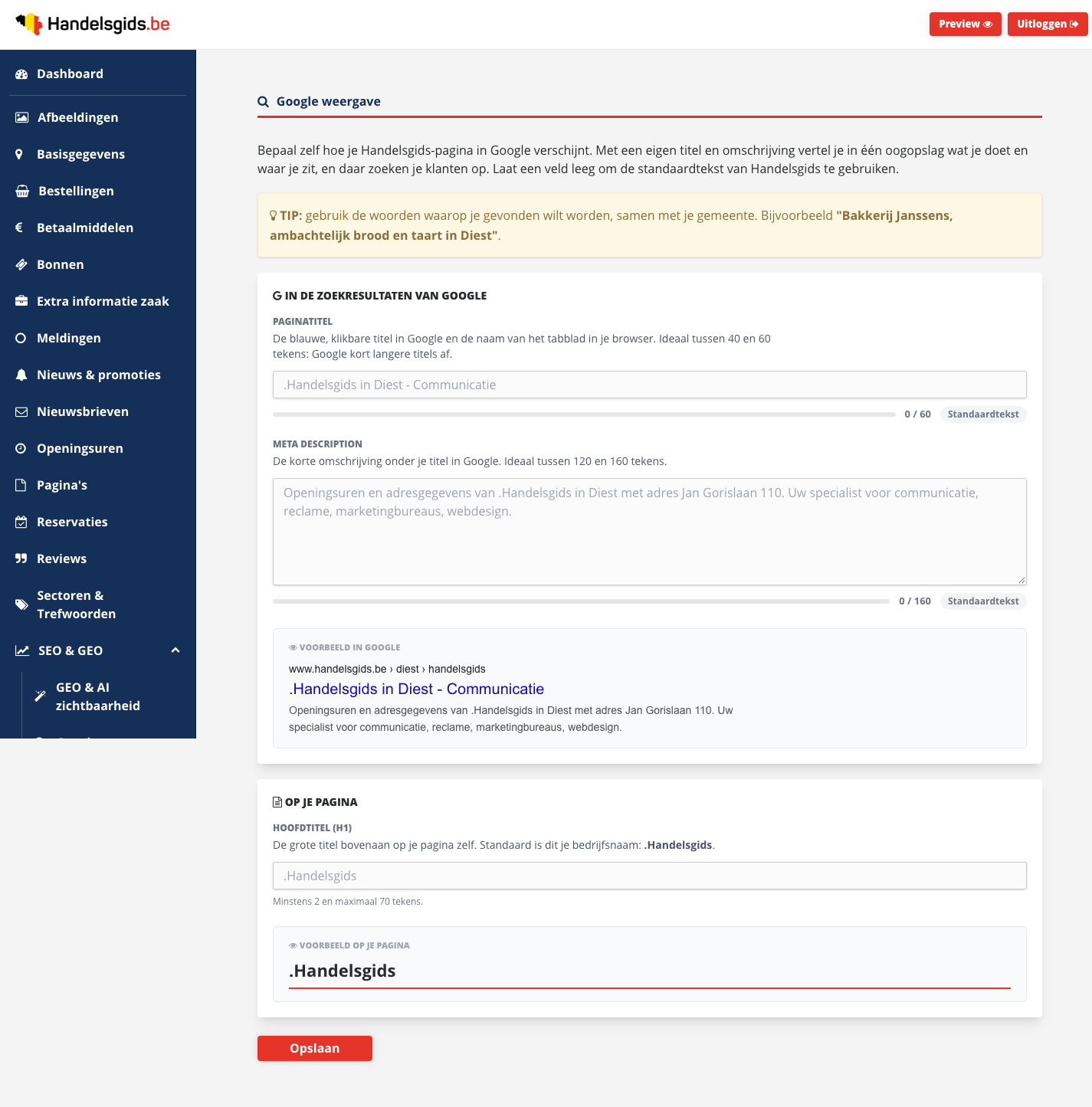 De pagina Google weergave met uitleg en een tip bovenaan, het blok In de zoekresultaten van Google, het blok Op je pagina en de knop Opslaan