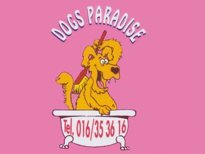 Dogs Paradise is een ervaren hondenkapsalon in Kessel-Lo