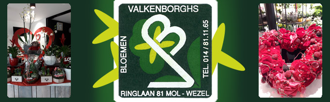 Bloemen Valkenborghs