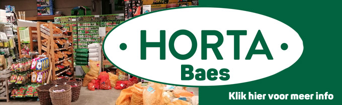 Horta Baes