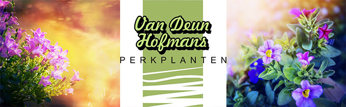 Perkplanten Van Deun - Hofmans bv