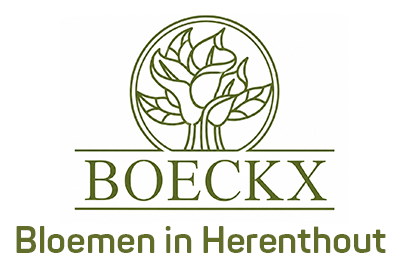 Logo Boeckx Bloemen Herenthout