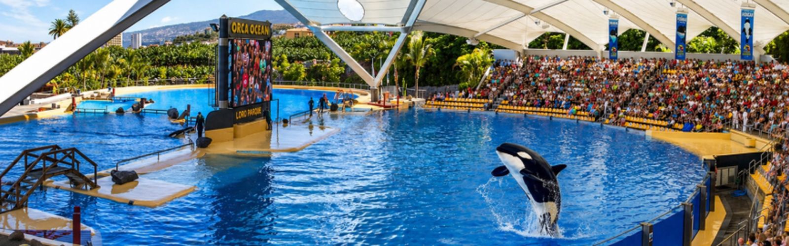 Loro Parque Tenerife