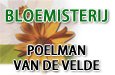 Bloemisterij Poelman - Van De Velde
