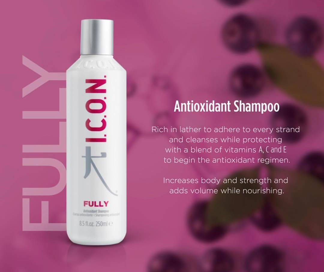Antioxidant fully shampoo