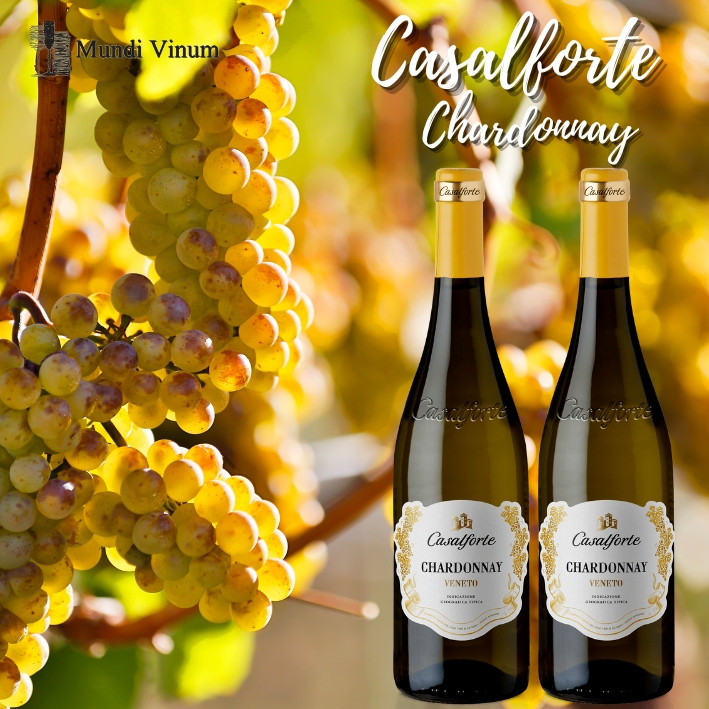 Casalforte Chardonnay