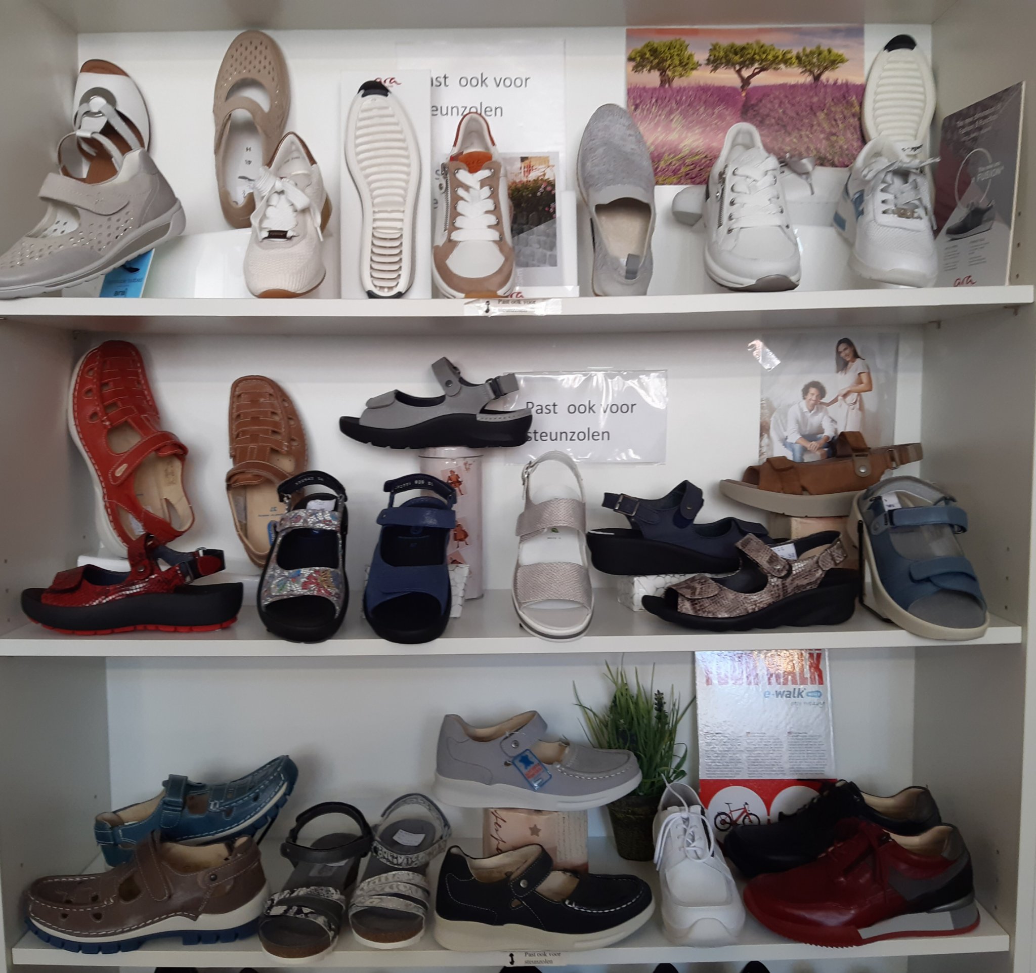 Schoenen Winkel Merksem Online Store, UP TO 65% OFF | www.ldeventos.com